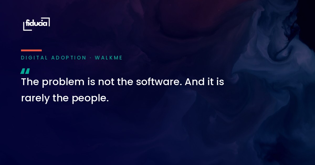 The problem is not the software. And it is rarely the people